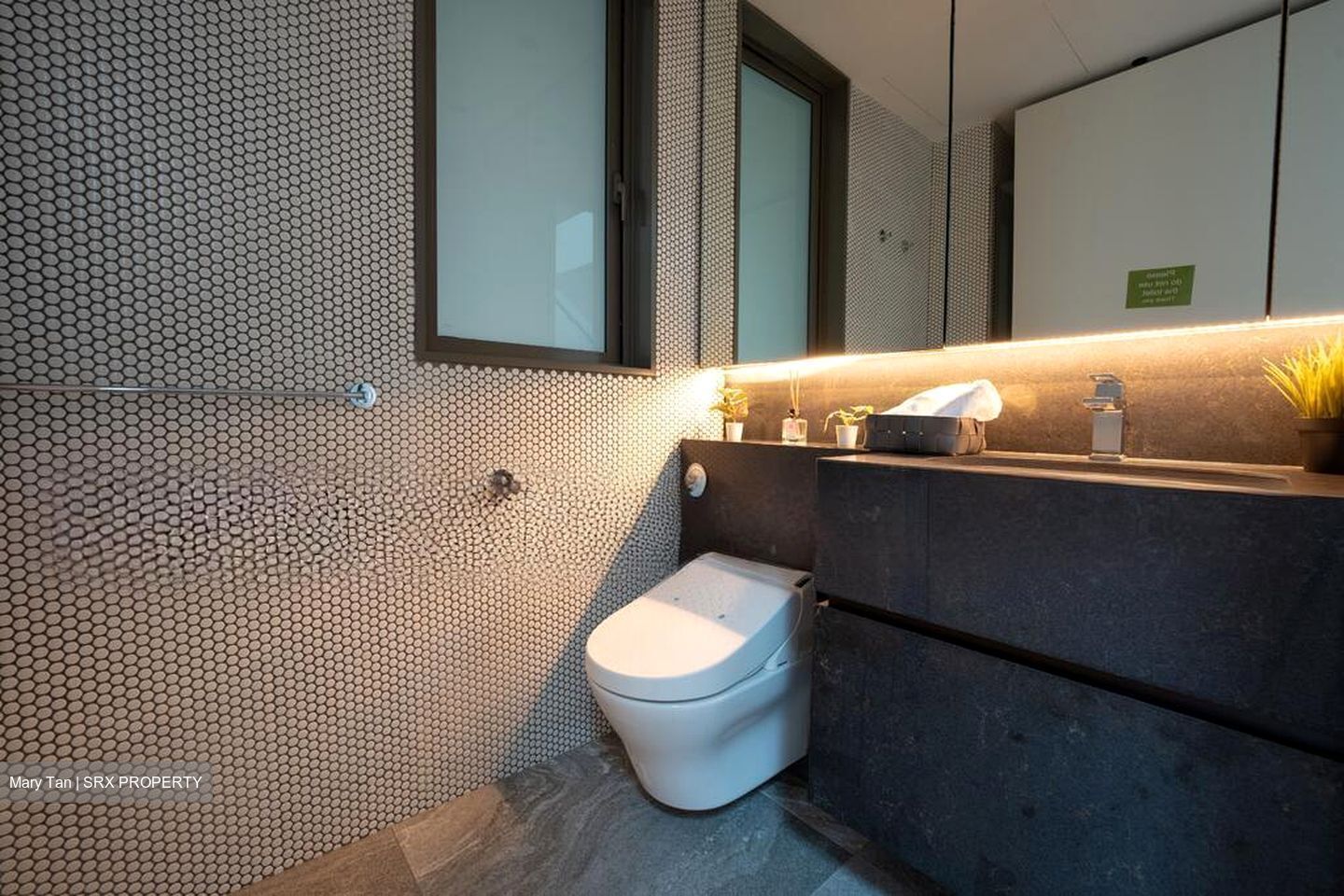 10 Evelyn (D11), Apartment #522367191